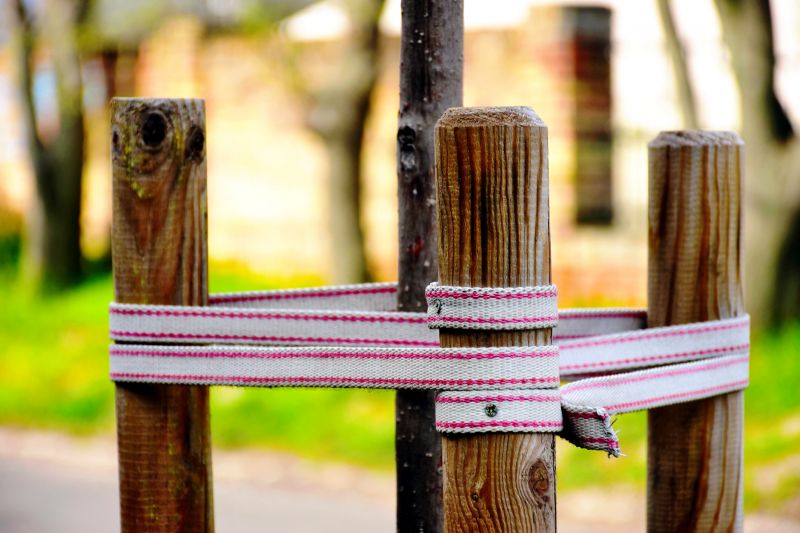 Healthy Tree with Stain