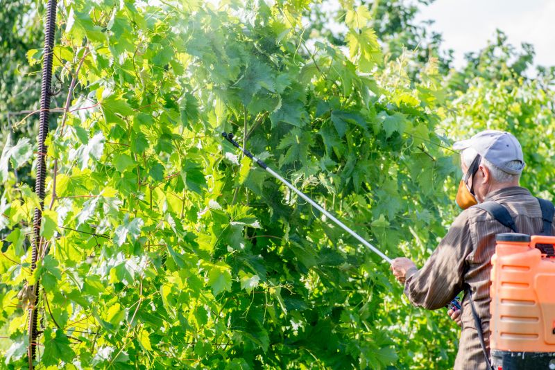 Eco-Friendly Options