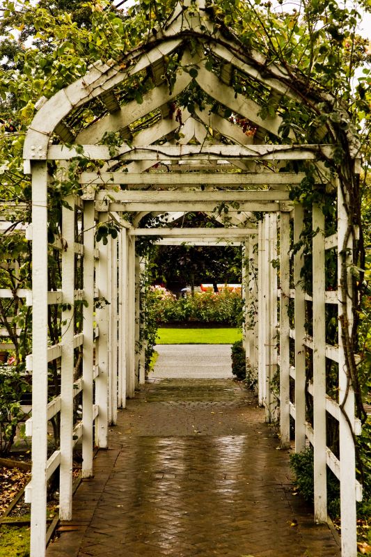 Extends arbor lifespan